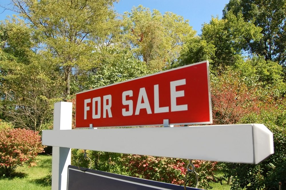 Listed Price, Plant, Motor vehicle, Leaf, Tree, Sky