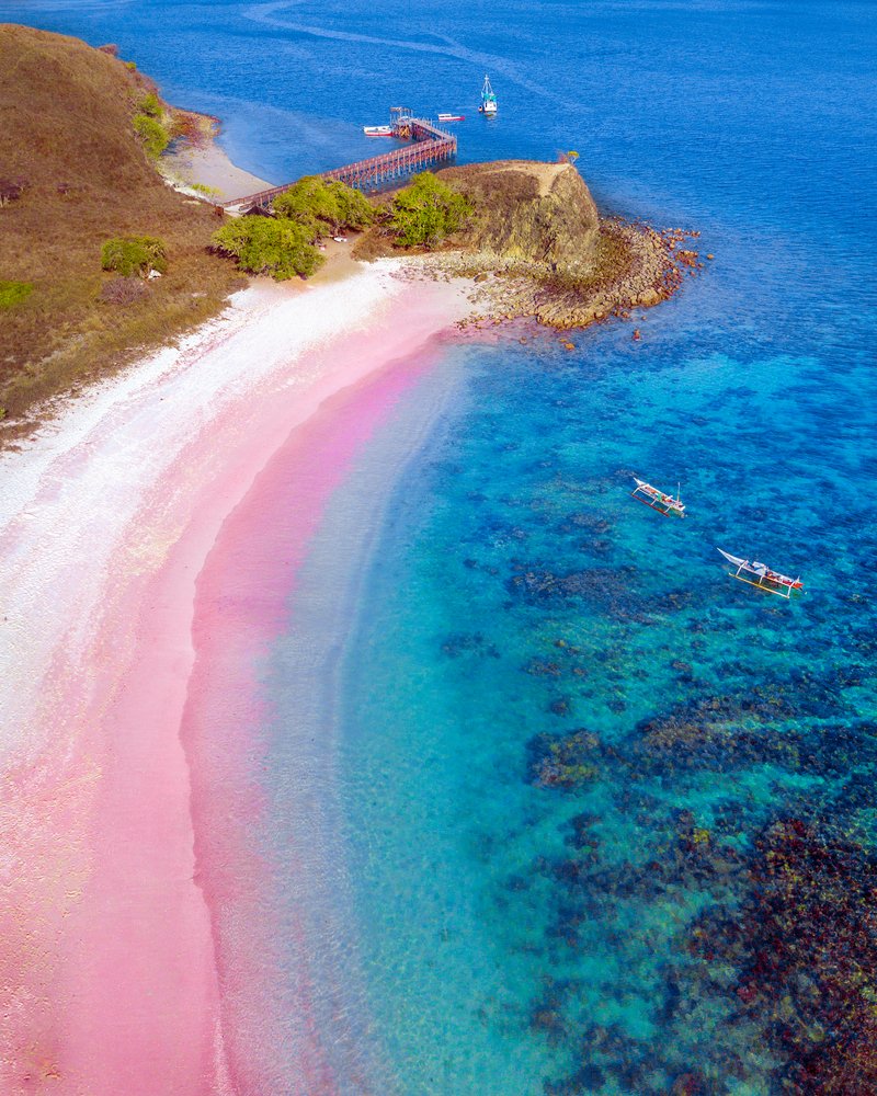Pink Beach in Indonesia, Water, Azure, Natural landscape, Beach, Coastal and oceanic landforms