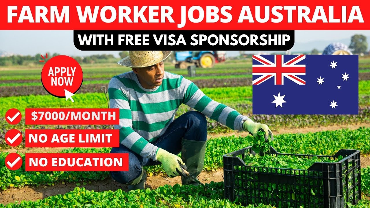 Farm Jobs In Australia For Foreigners With Visa Sponsorship 2024 13stream Farm Jobs In Australia For Foreigners With Visa Sponsorship 2024 13stream
